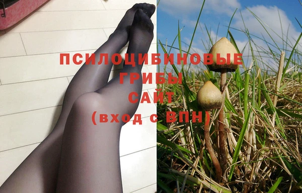 синтетический гашиш Алексеевка