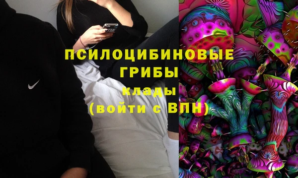 экстази Алексин