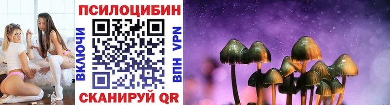 цена наркотик  Павлово  Галлюциногенные грибы Magic Shrooms 
