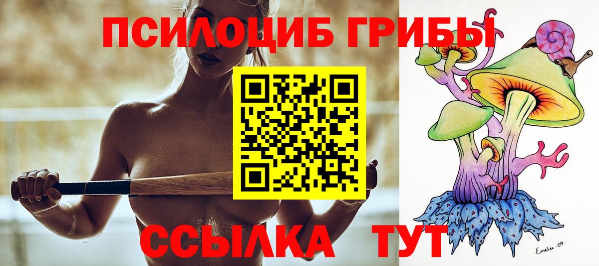 Псилоцибиновые грибы мицелий  Вход с VPN  Павлово  Псилоцибиновые грибы мицелий 