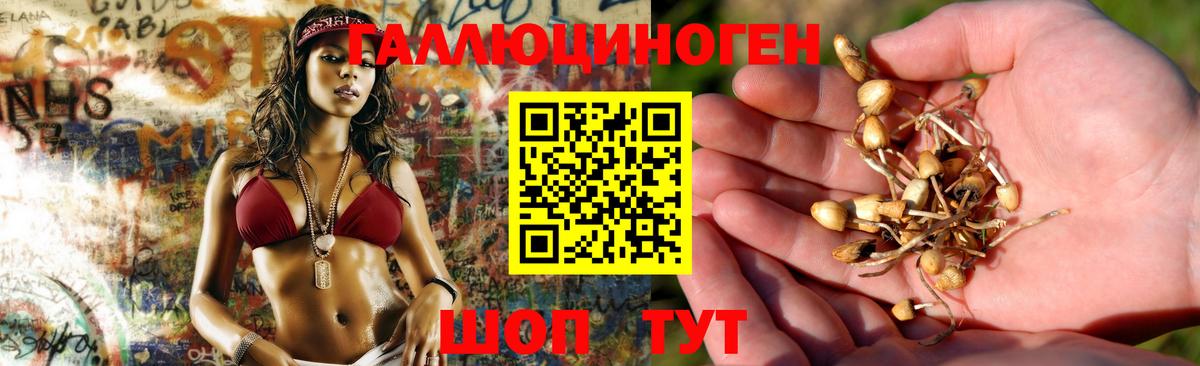 Галлюциногенные грибы GOLDEN TEACHER Павлово